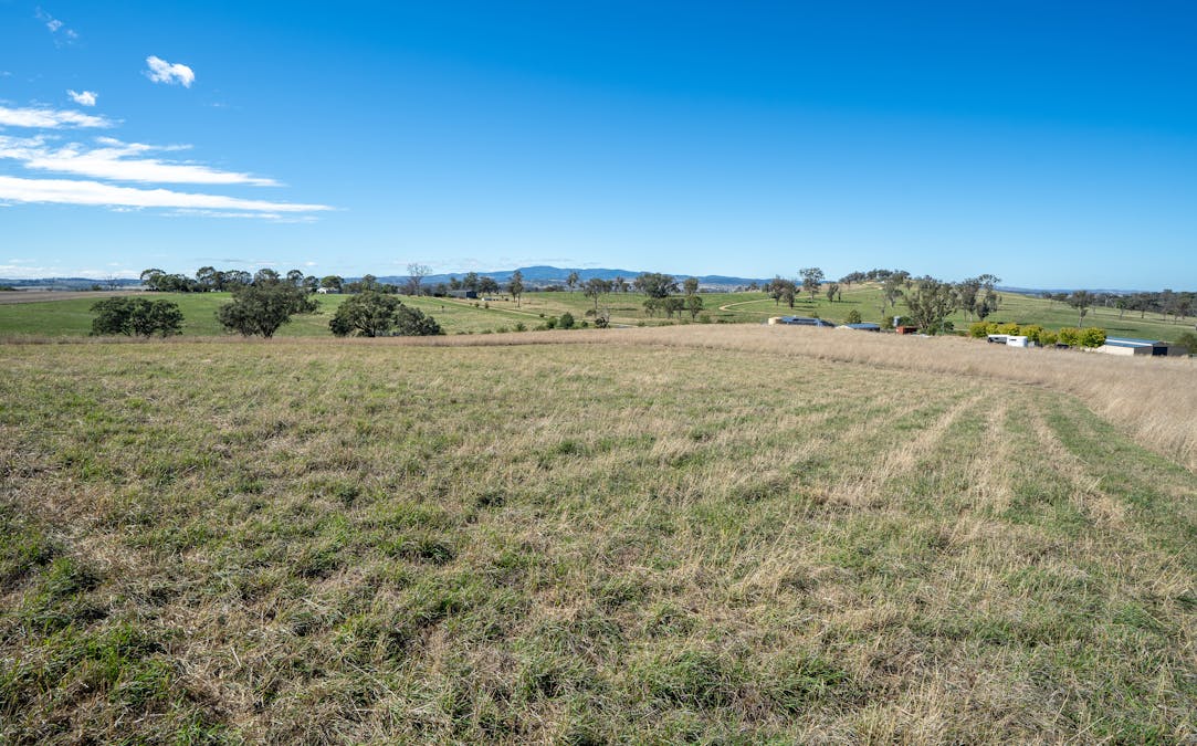 614 Peabody Road, Molong, NSW, 2866 - Image 4