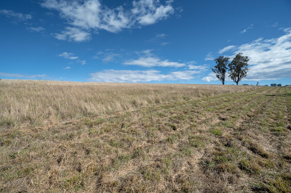 614 Peabody Road, Molong, NSW, 2866 - Image 3