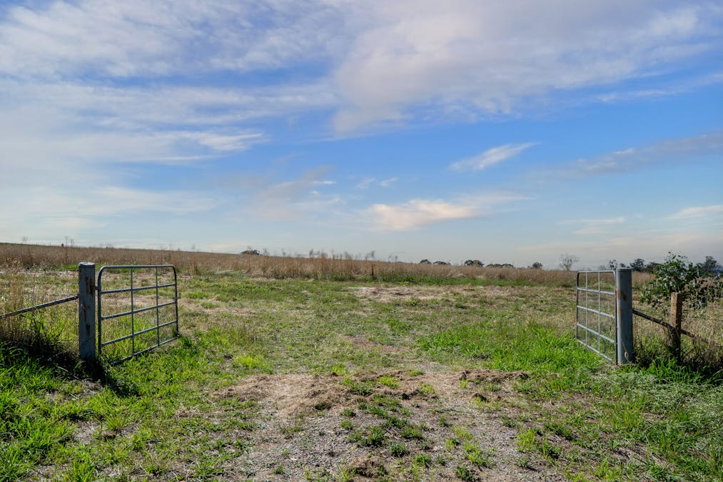 614 Peabody Road, Molong, NSW, 2866 - Image 2