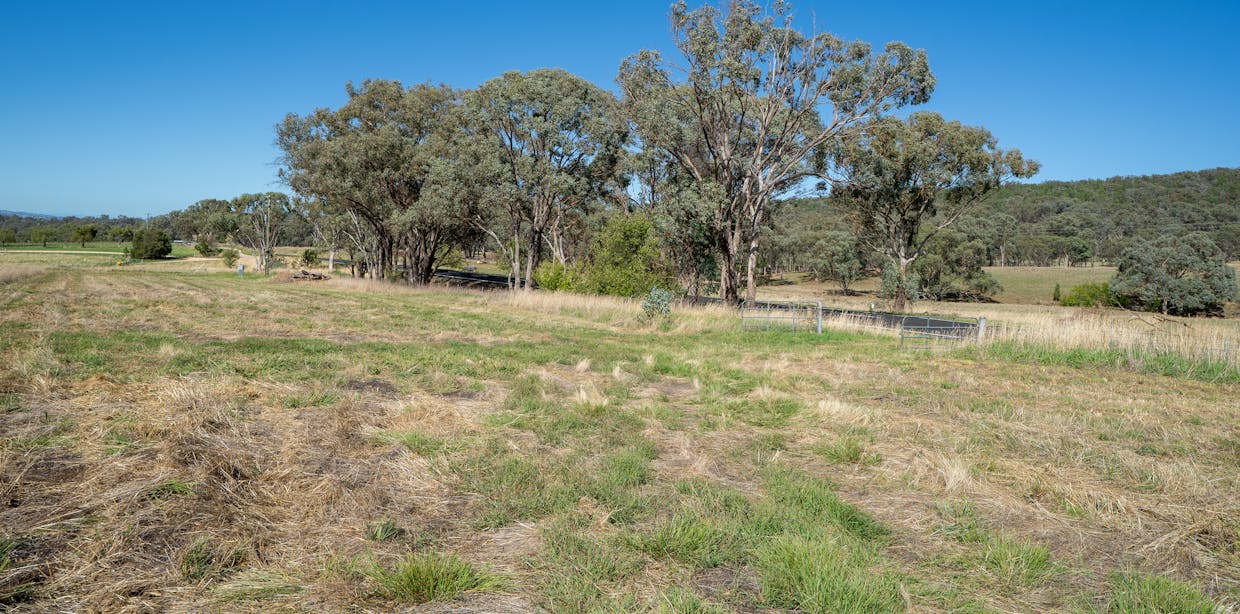 614 Peabody Road, Molong, NSW, 2866 - Image 11