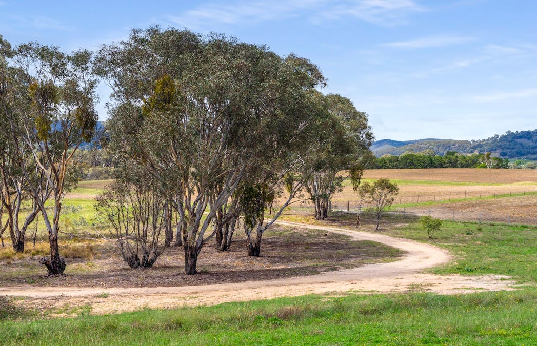 1999 O'Connell Road, O'connell, NSW, 2795 - Image 24