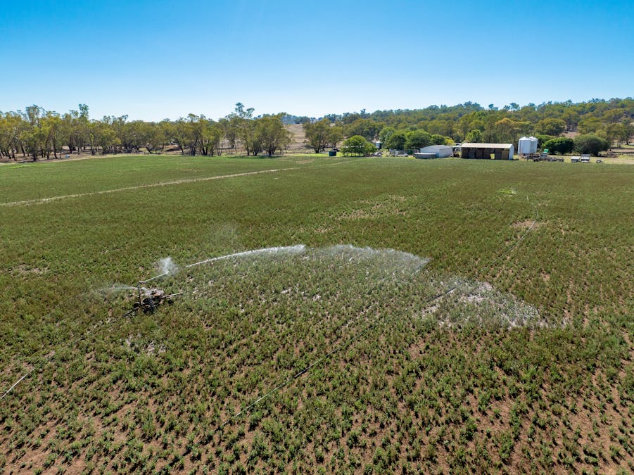 7963 Mitchell Highway, Bakers Swamp, NSW, 2820 - Image 2