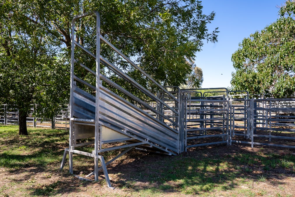 7963 Mitchell Highway, Bakers Swamp, NSW, 2820 - Image 6