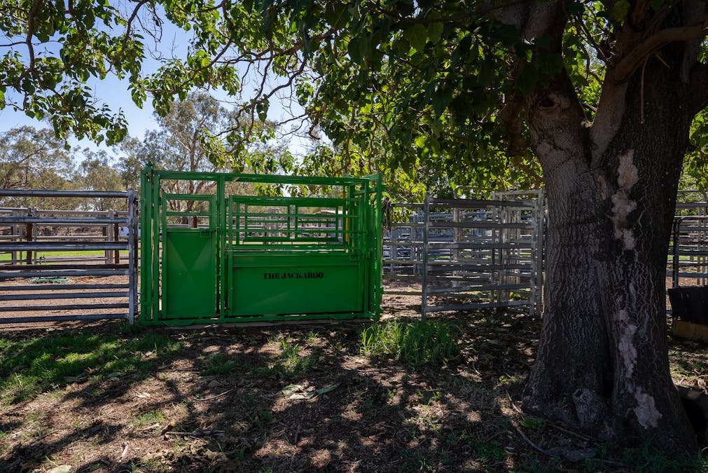 7963 Mitchell Highway, Bakers Swamp, NSW, 2820 - Image 7