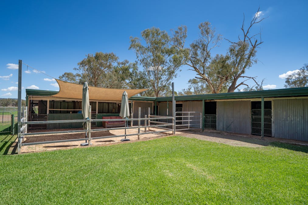7963 Mitchell Highway, Bakers Swamp, NSW, 2820 - Image 12