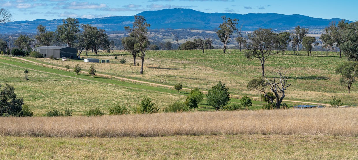 614 Peabody Road, Molong, NSW, 2866 - Image 5