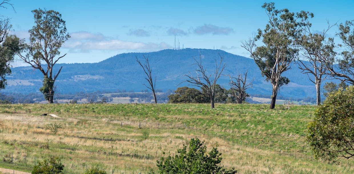 614 Peabody Road, Molong, NSW, 2866 - Image 13