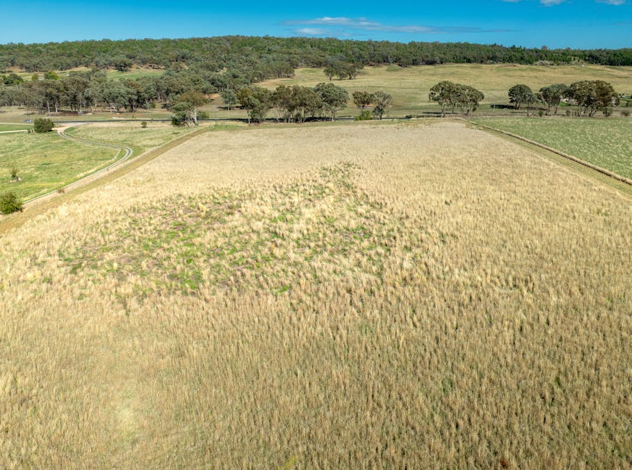 614 Peabody Road, Molong, NSW, 2866 - Image 10