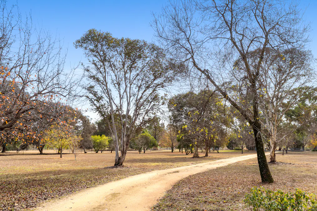 520 Darbys Falls Road, Cowra, NSW, 2794 - Image 20