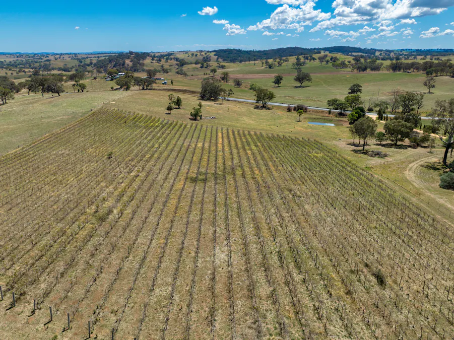 1827 The Escort Way, Orange, NSW, 2800 - Image 20