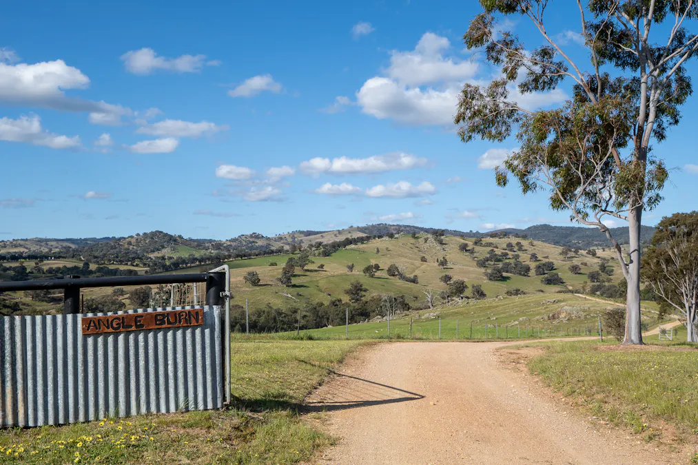 'Angle Burn' 101 Clearview Road, Darbys Falls, NSW, 2793 - Image 3
