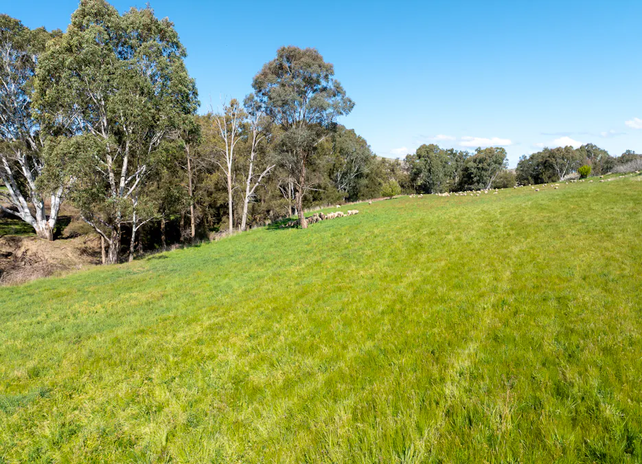 'Angle Burn' 101 Clearview Road, Darbys Falls, NSW, 2793 - Image 14