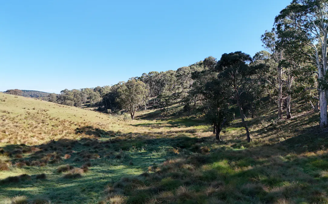 222 Cranfield Road, Chatham Valley, NSW, 2787 - Image 27