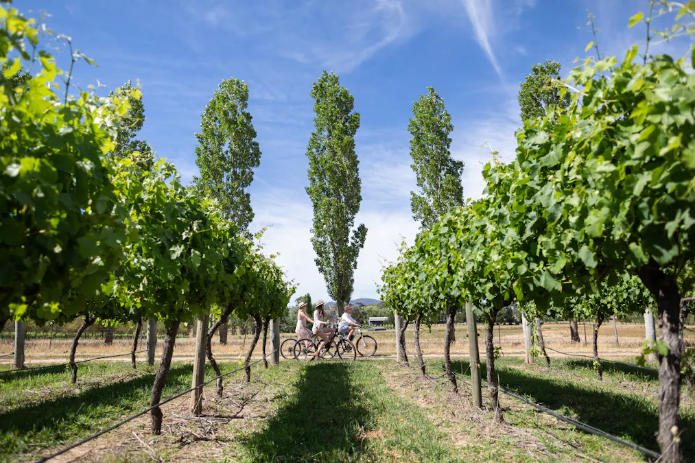 1034 The Escort Way, Orange, NSW, 2800 - Image 16