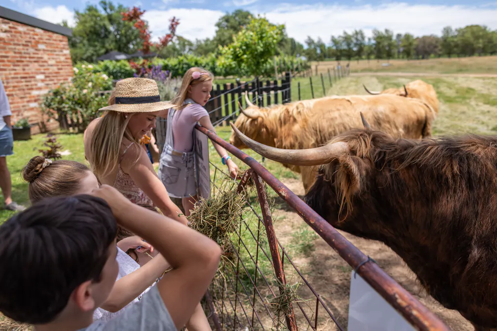 1034 The Escort Way, Orange, NSW, 2800 - Image 21