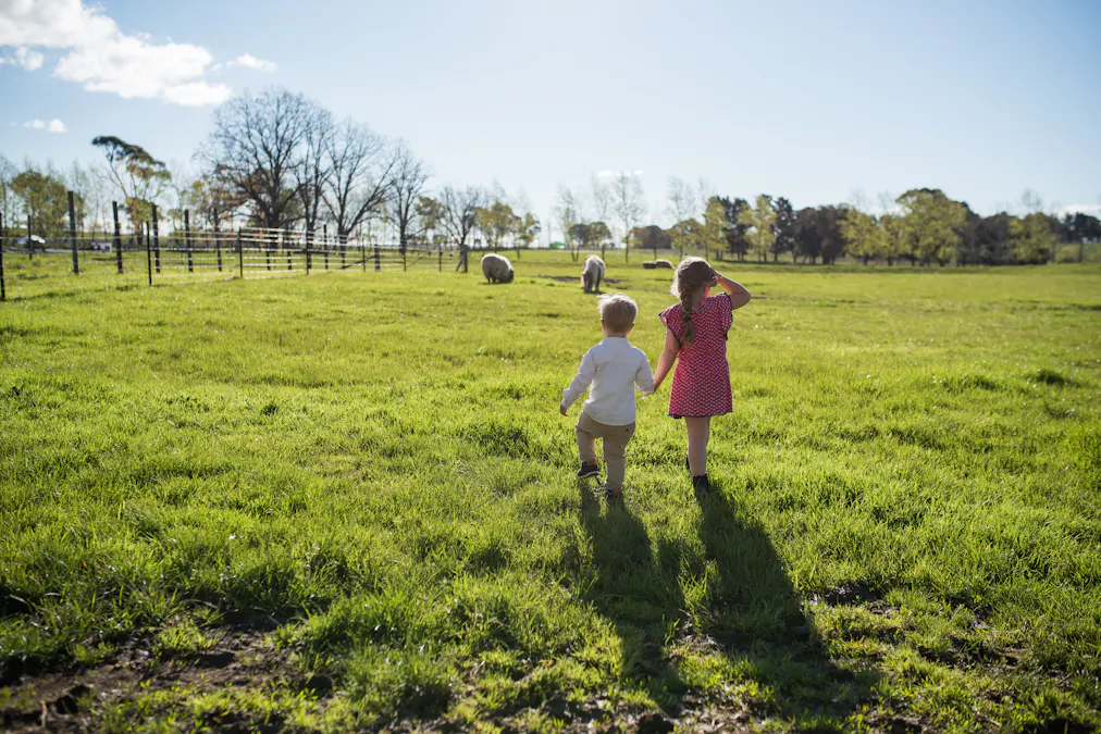 1034 The Escort Way, Orange, NSW, 2800 - Image 25