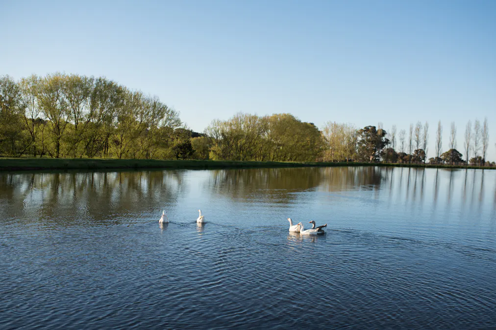 1034 The Escort Way, Orange, NSW, 2800 - Image 26