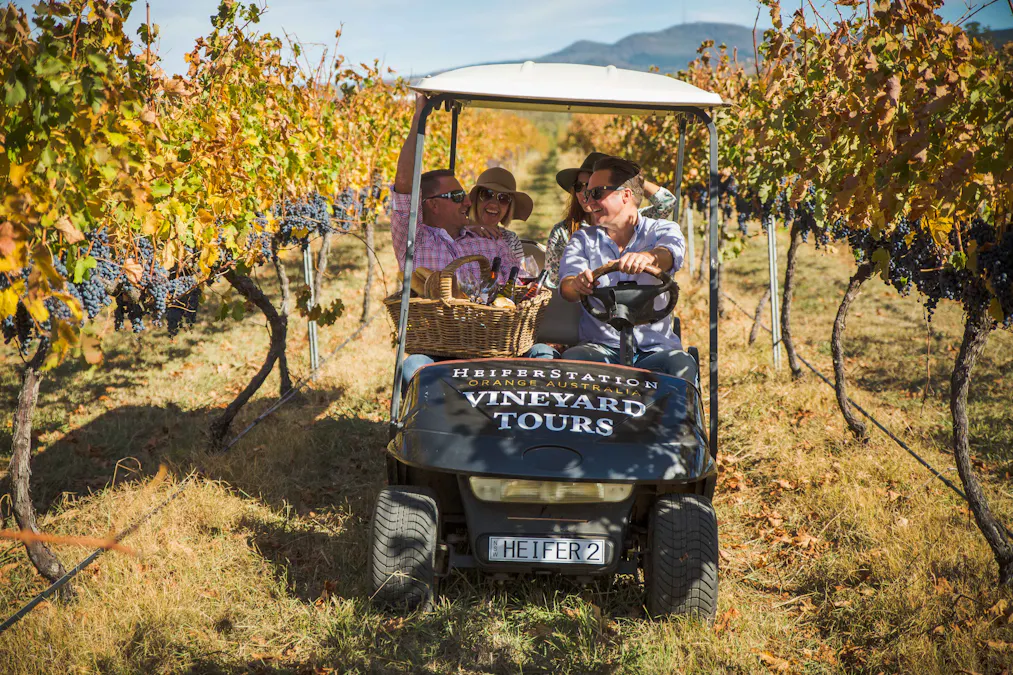 1034 The Escort Way, Orange, NSW, 2800 - Image 28