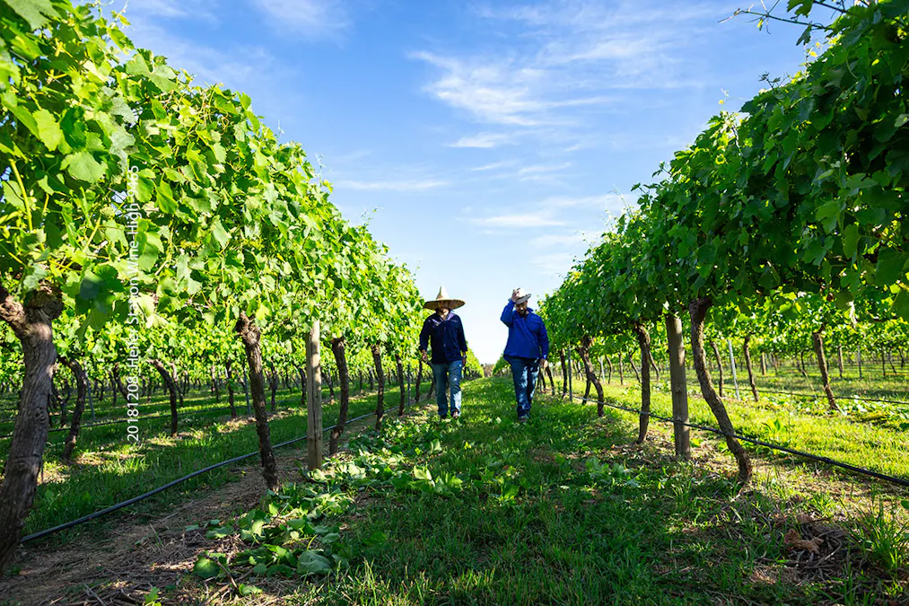 1034 The Escort Way, Orange, NSW, 2800 - Image 14