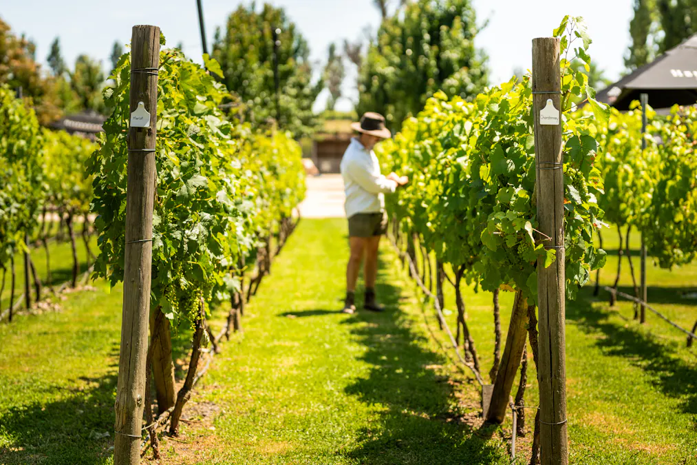 1034 The Escort Way, Orange, NSW, 2800 - Image 18