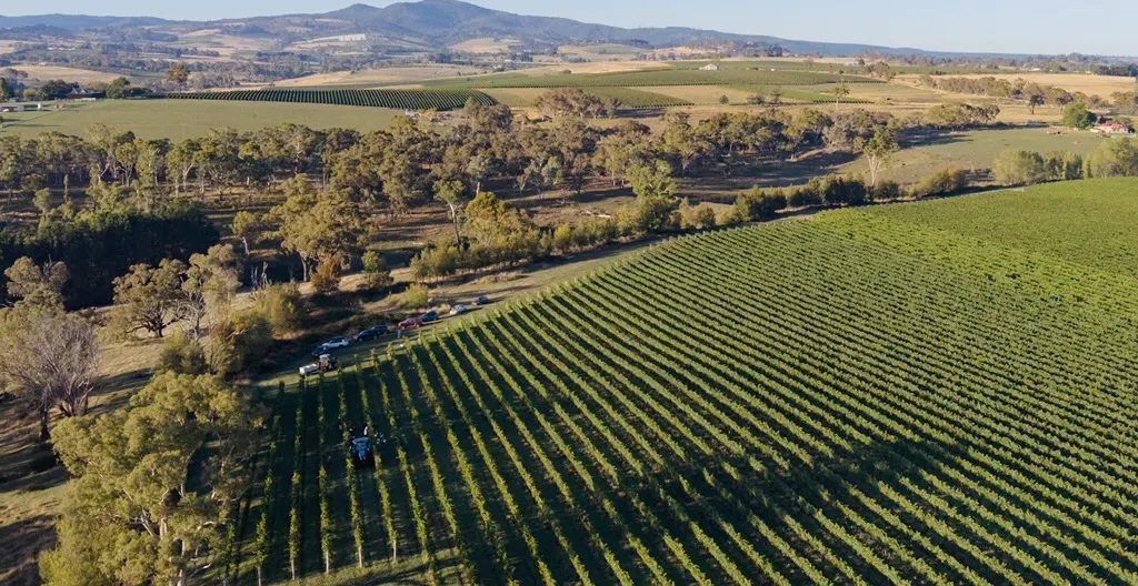 1034 The Escort Way, Orange, NSW, 2800 - Image 15