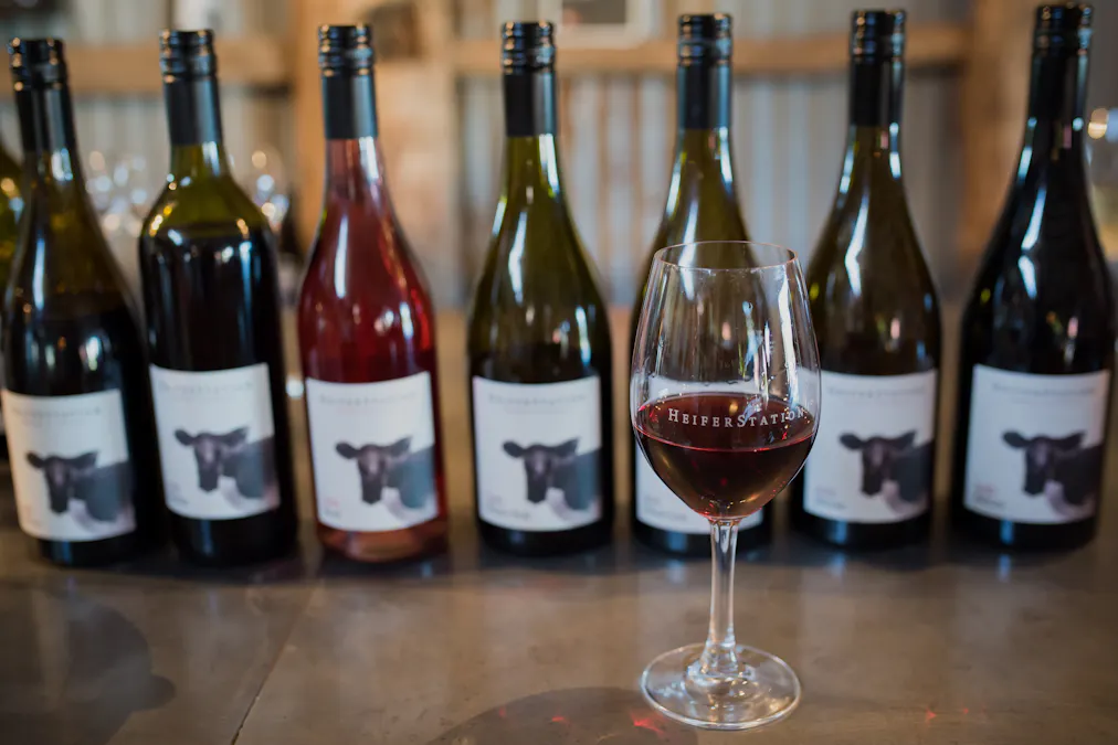 1034 The Escort Way, Orange, NSW, 2800 - Image 11