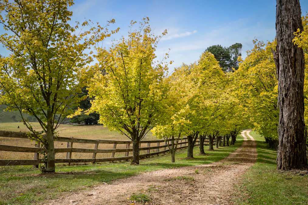 370 Springmount Road, Oberon, NSW, 2787 - Image 5