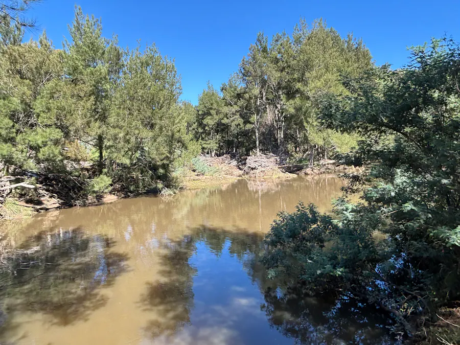 840 The Glen Road, Jerrong, NSW, 2580 - Image 8