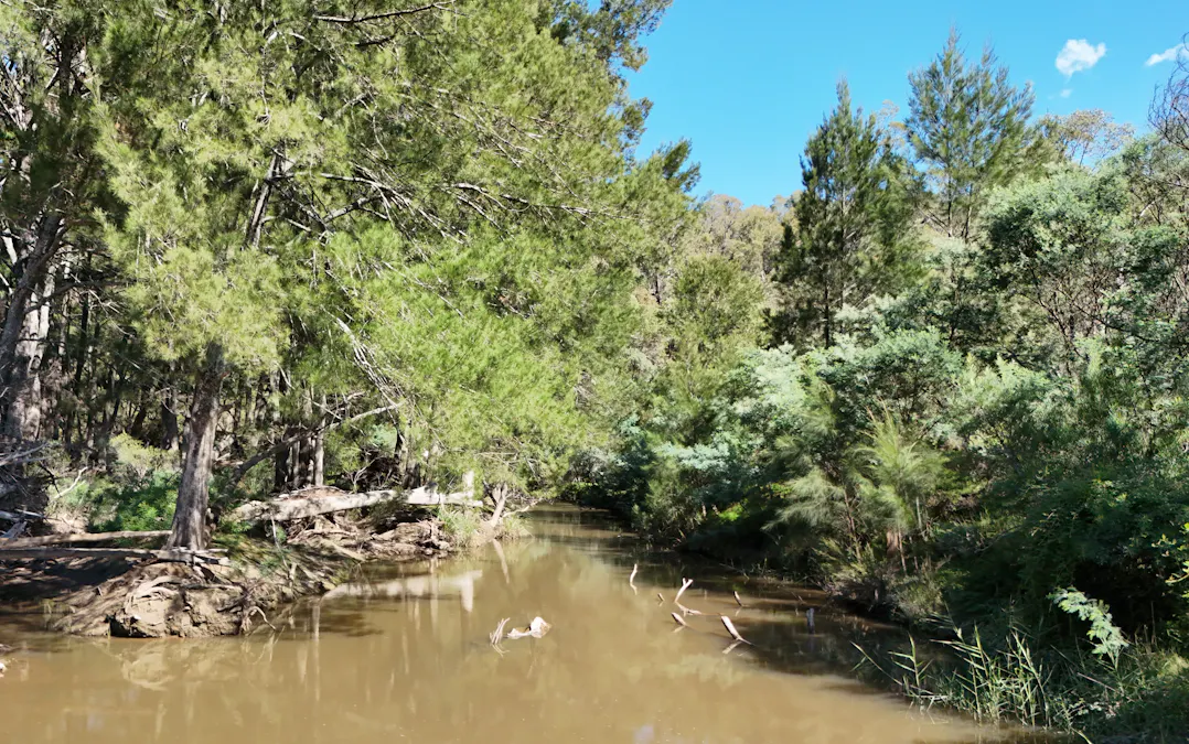 840 The Glen Road, Jerrong, NSW, 2580 - Image 19