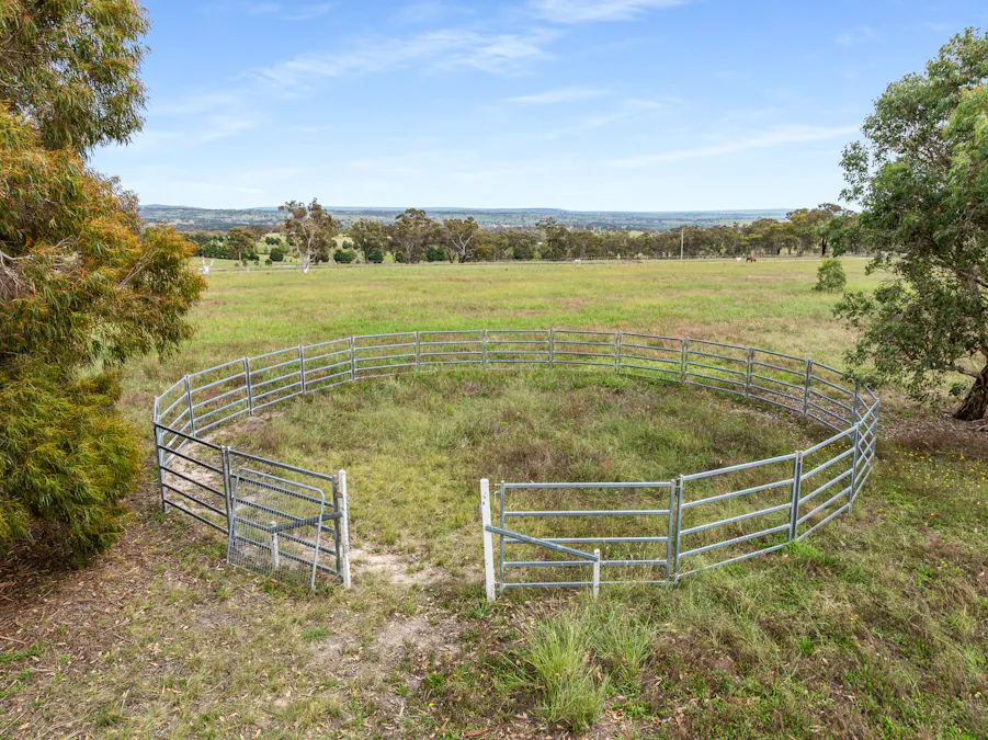 1289 Carlwood Road, O'connell, NSW, 2795 - Image 19