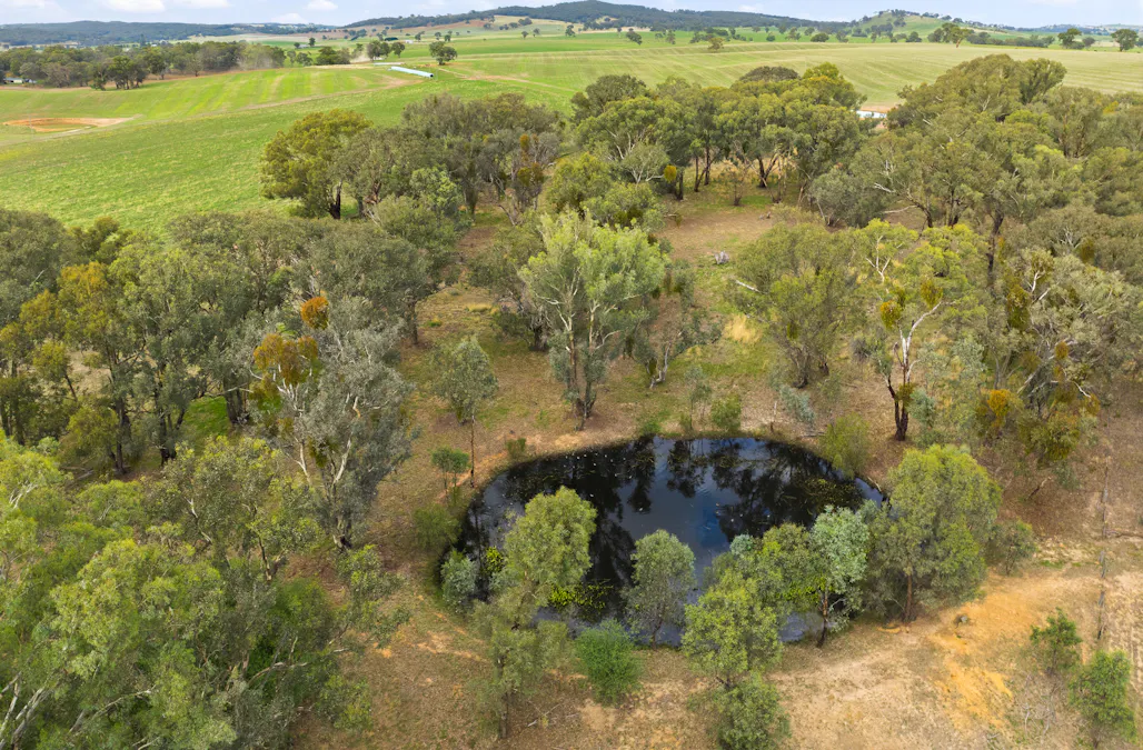 34 Mandurama Road, Mandurama, NSW, 2792 - Image 20