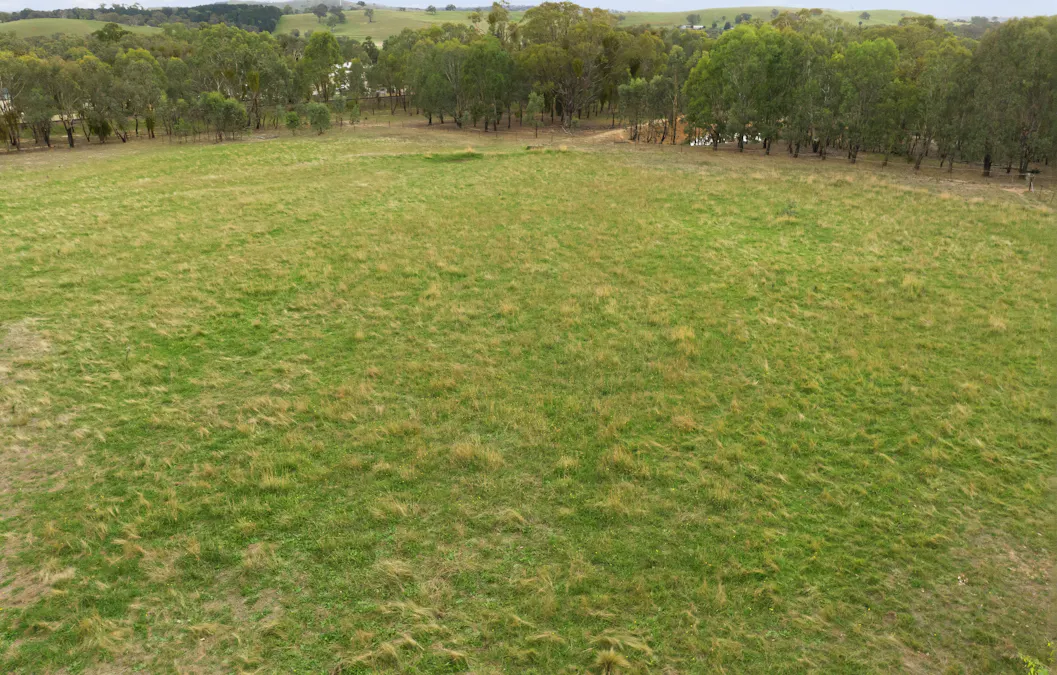 34 Mandurama Road, Mandurama, NSW, 2792 - Image 22