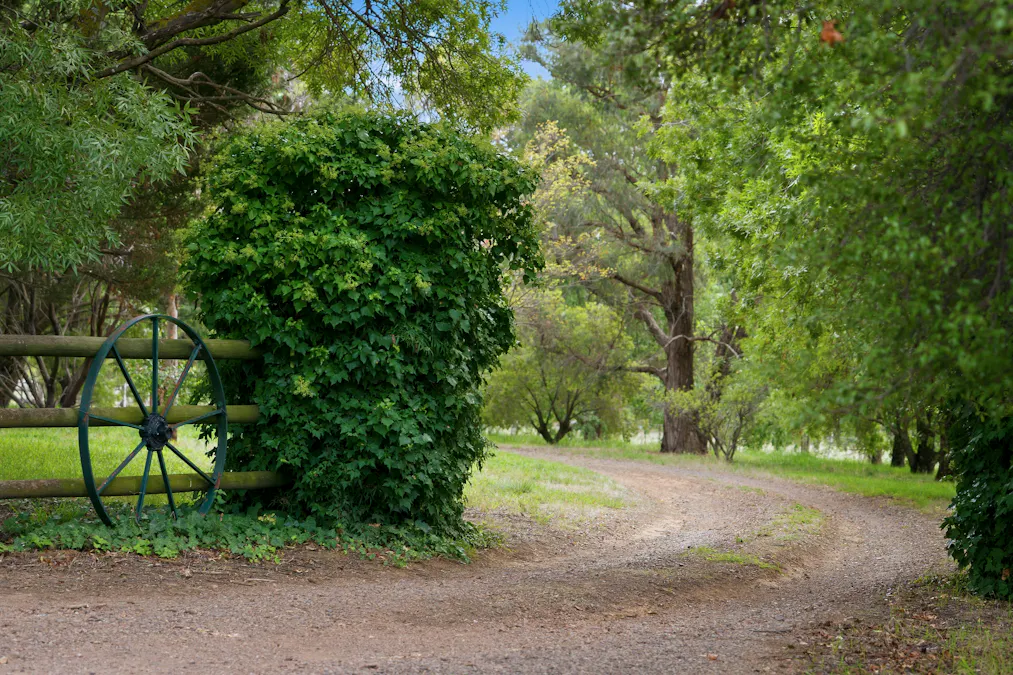 34 Mandurama Road, Mandurama, NSW, 2792 - Image 25