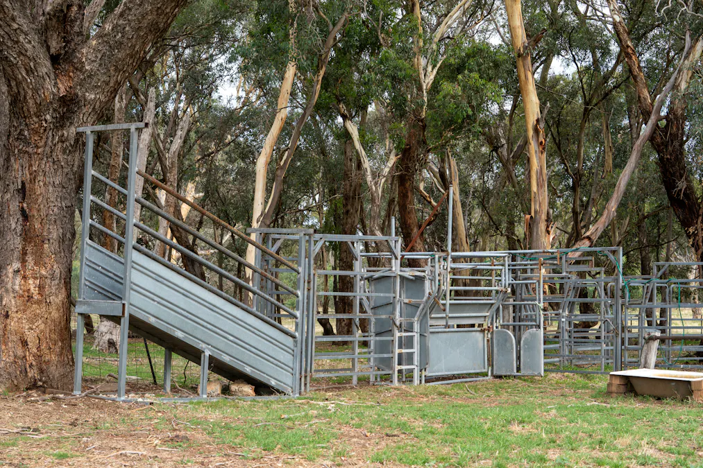 34 Mandurama Road, Mandurama, NSW, 2792 - Image 27