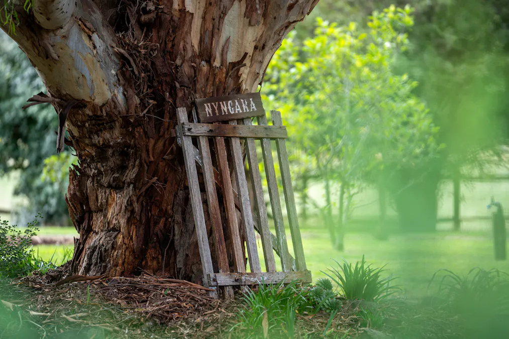 34 Mandurama Road, Mandurama, NSW, 2792 - Image 29