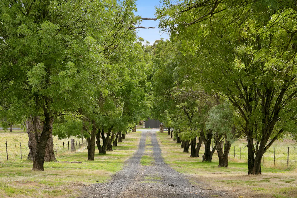 34 Mandurama Road, Mandurama, NSW, 2792 - Image 2