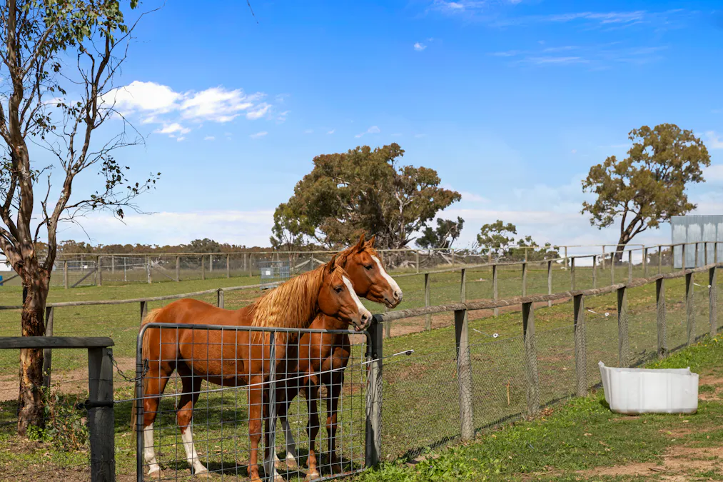 1305 Carlwood Road, O'connell, NSW, 2795 - Image 25