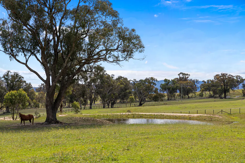 1305 Carlwood Road, O'connell, NSW, 2795 - Image 24