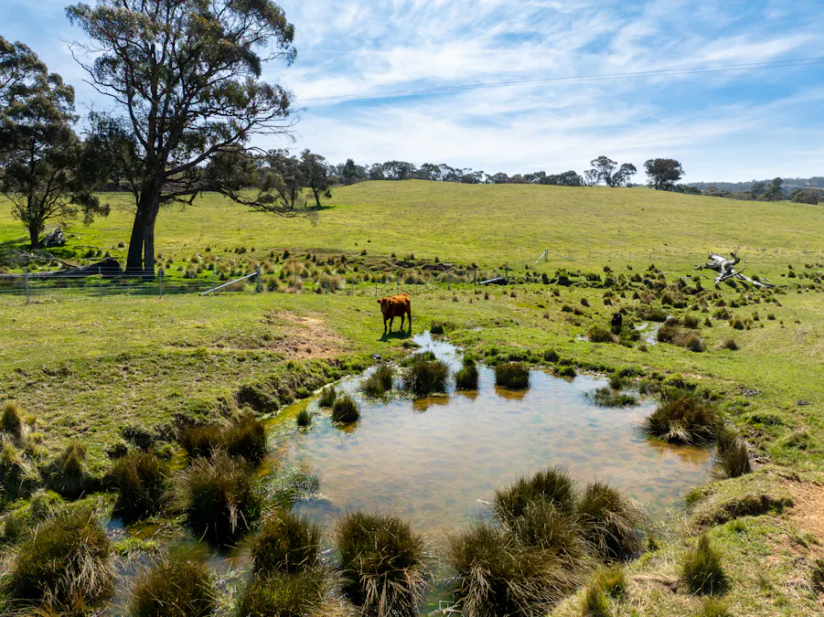 Lot 1, 1660 Edith Road, Oberon, NSW, 2787 - Image 3