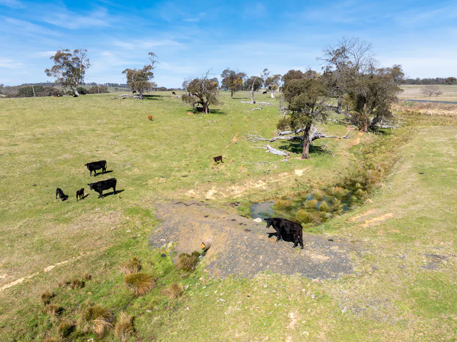 Lot 1, 1660 Edith Road, Oberon, NSW, 2787 - Image 5