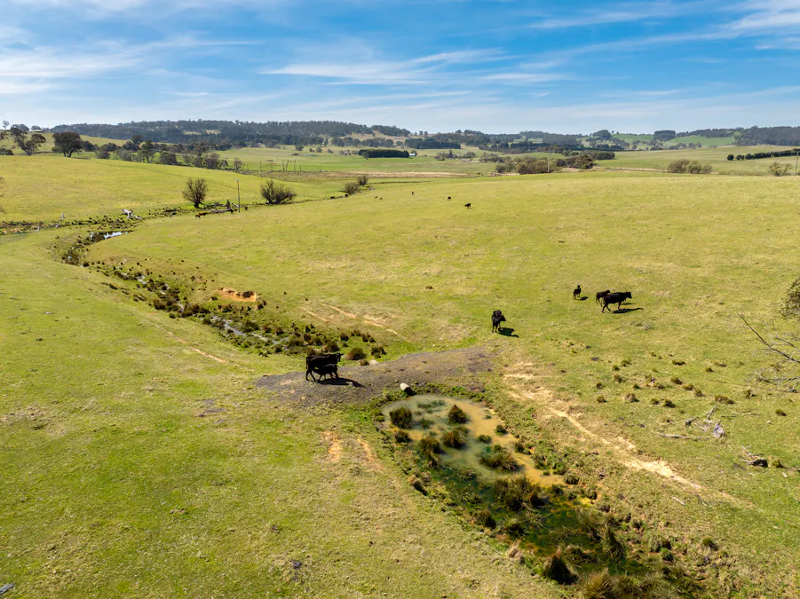 Lot 1, 1660 Edith Road, Oberon, NSW, 2787 - Image 6