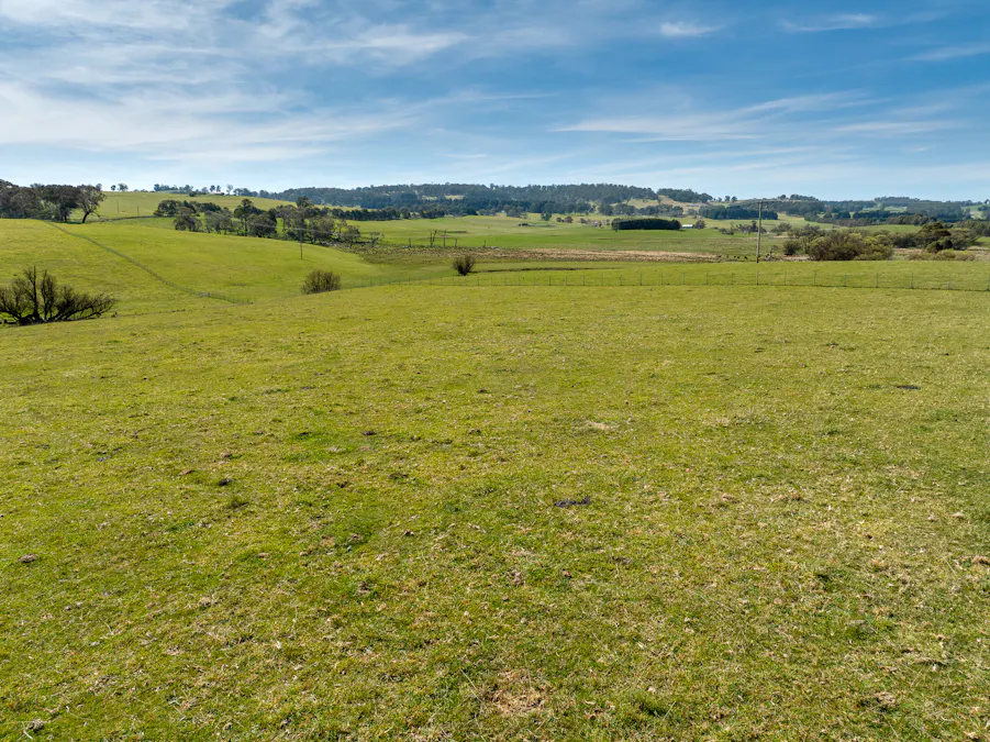 Lot 1, 1660 Edith Road, Oberon, NSW, 2787 - Image 7
