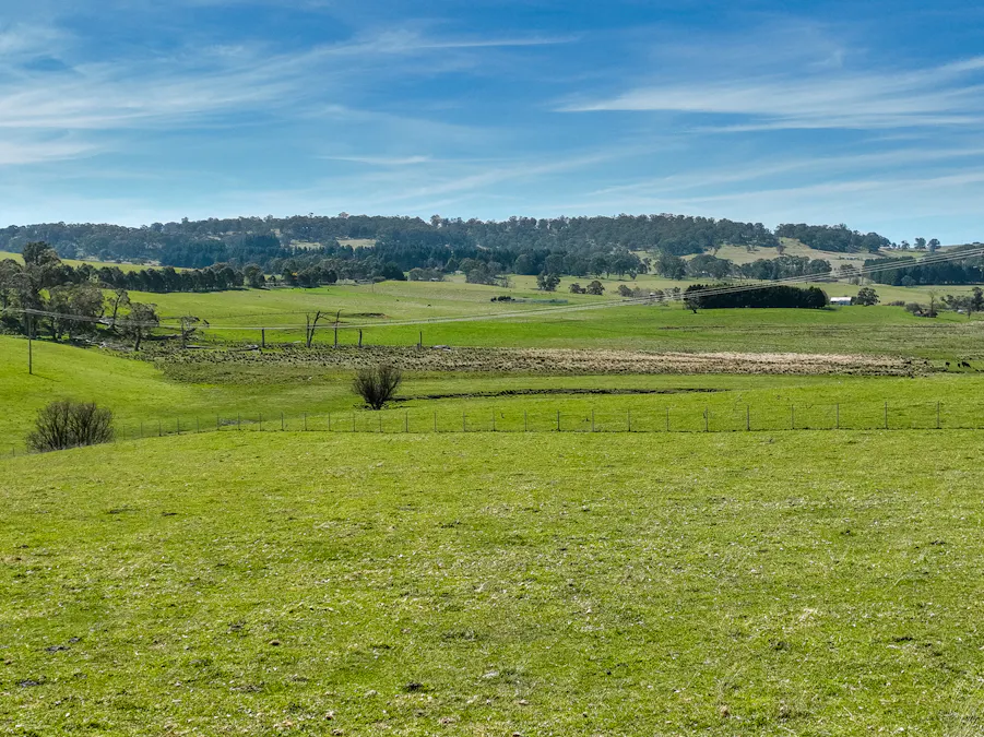 Lot 1, 1660 Edith Road, Oberon, NSW, 2787 - Image 8