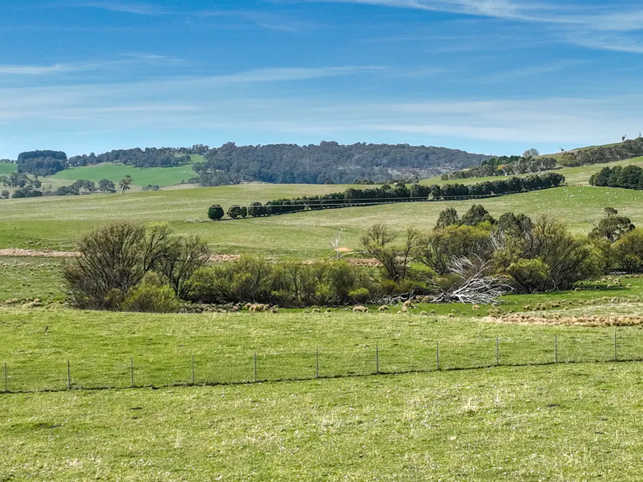 Lot 1, 1660 Edith Road, Oberon, NSW, 2787 - Image 9