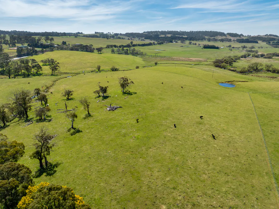 Lot 1, 1660 Edith Road, Oberon, NSW, 2787 - Image 10