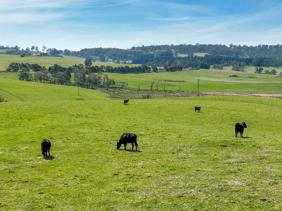 Lot 1, 1660 Edith Road, Oberon, NSW, 2787 - Image 11