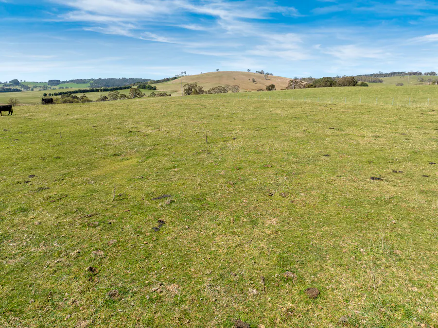 Lot 1, 1660 Edith Road, Oberon, NSW, 2787 - Image 13