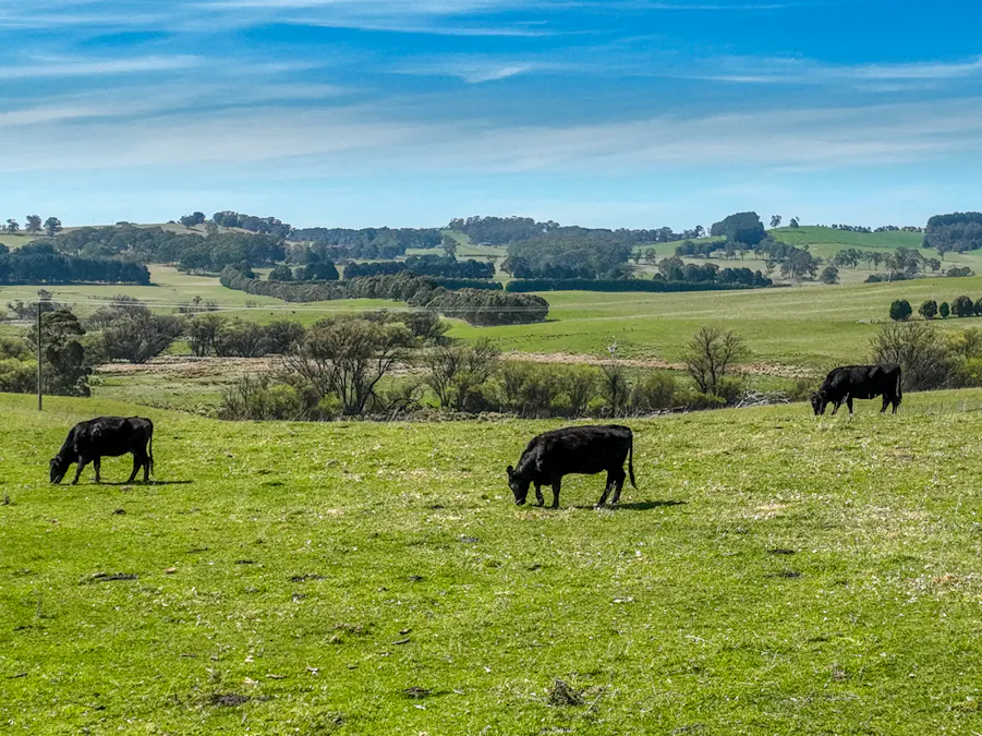 Lot 1, 1660 Edith Road, Oberon, NSW, 2787 - Image 14