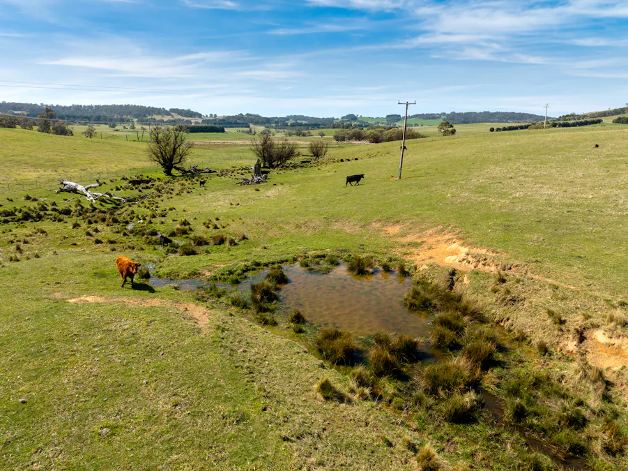 Lot 1, 1660 Edith Road, Oberon, NSW, 2787 - Image 4