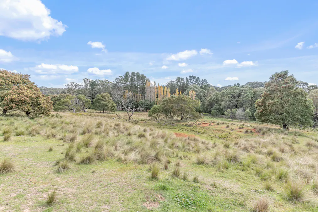 1231 Sunny Corner Road, Sunny Corner, NSW, 2795 - Image 16